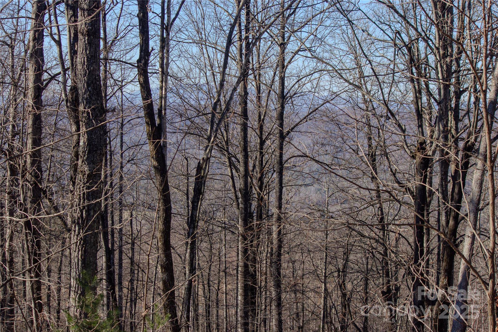 2216 Nighthawk Ridge CT #30, Lenoir, NC 28645