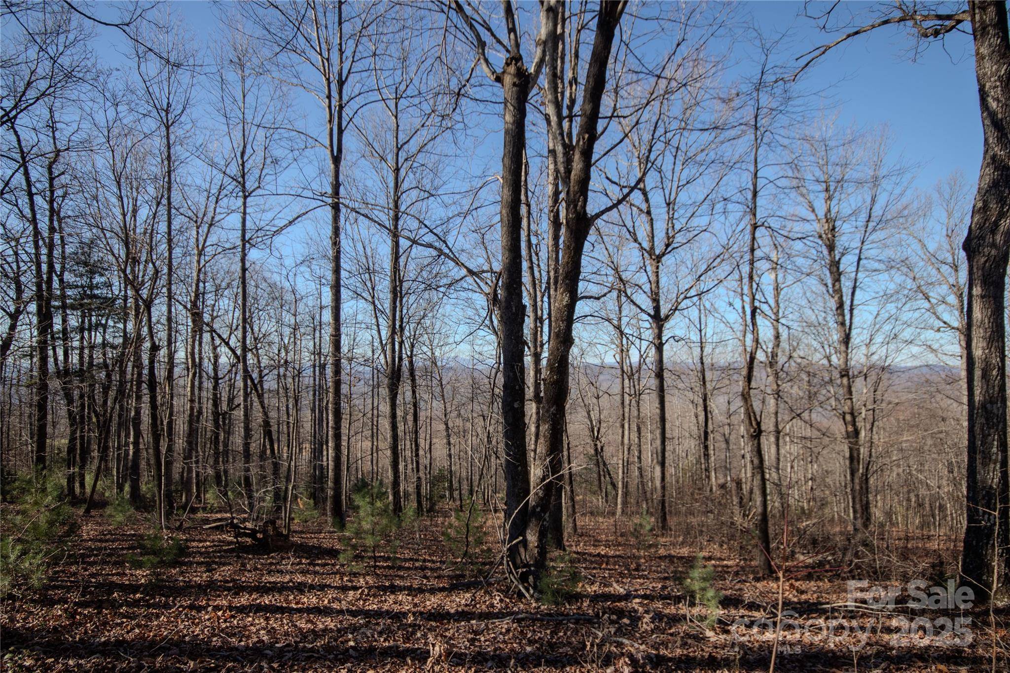 2216 Nighthawk Ridge CT #30, Lenoir, NC 28645