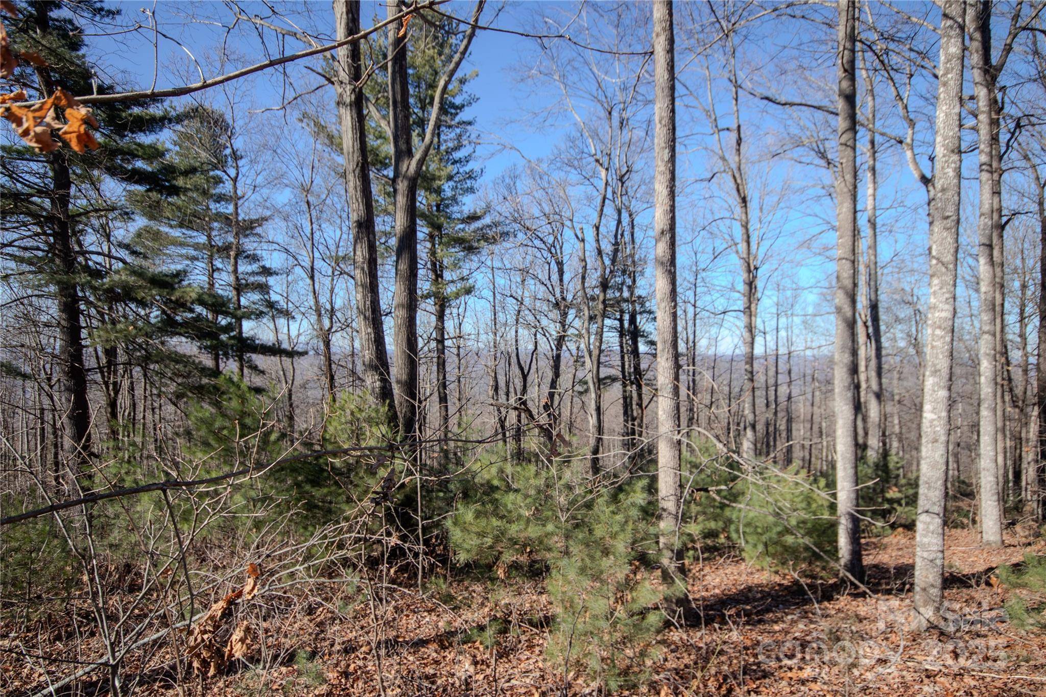 2220 Nighthawk Ridge CT #31, Lenoir, NC 28645