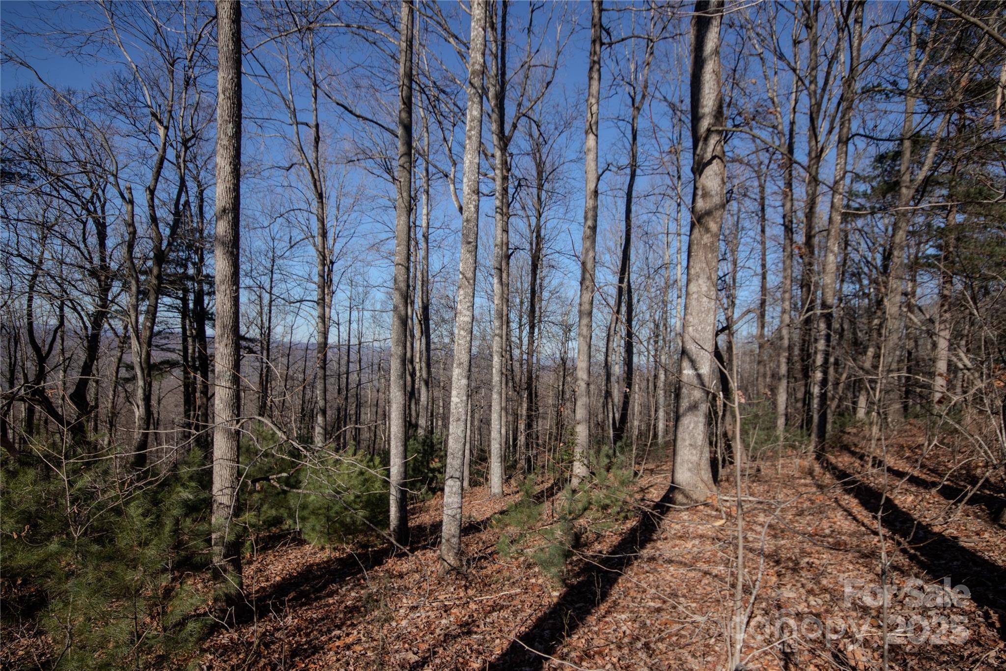 2220 Nighthawk Ridge CT #31, Lenoir, NC 28645