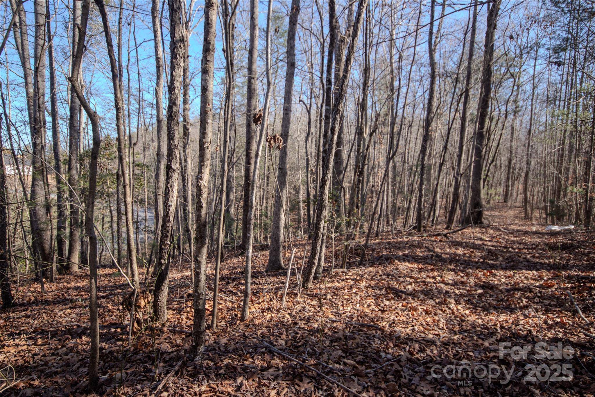 Lot# 81 Huntington Woods ST SE #81, Lenoir, NC 28645