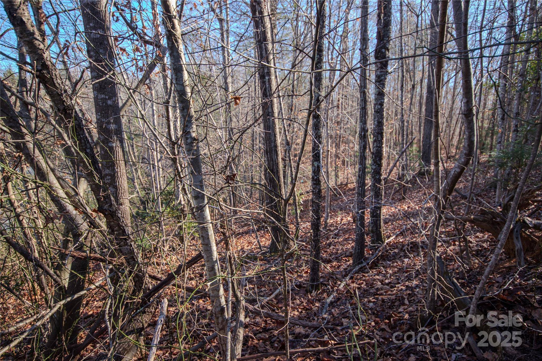 Lot# 82 Huntington Woods ST SE #82, Lenoir, NC 28645