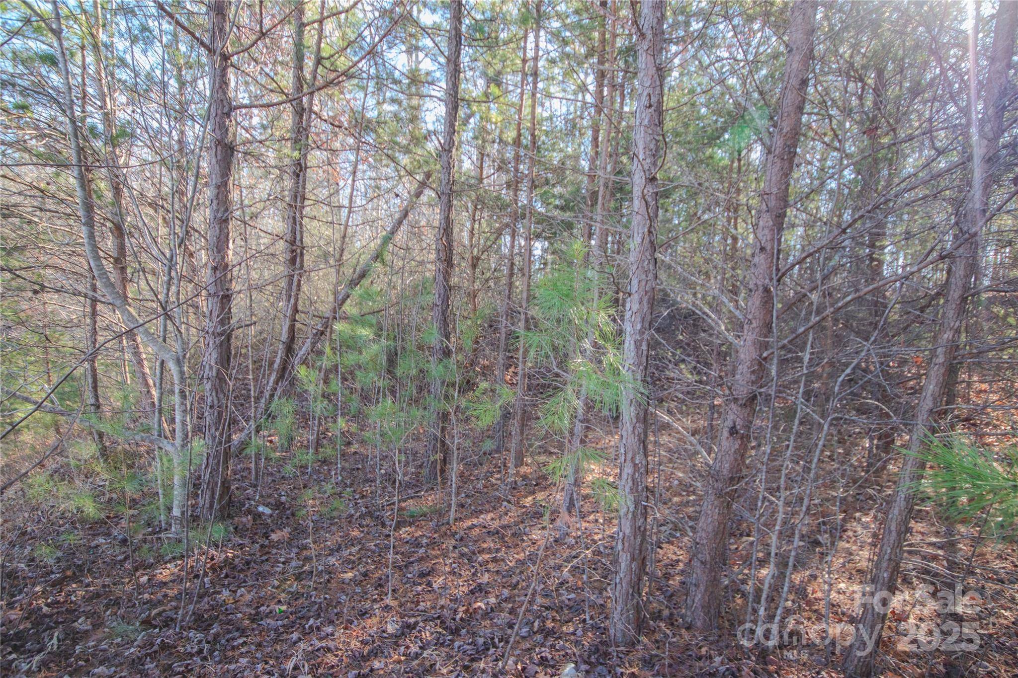 Lot# 82 Huntington Woods ST SE #82, Lenoir, NC 28645