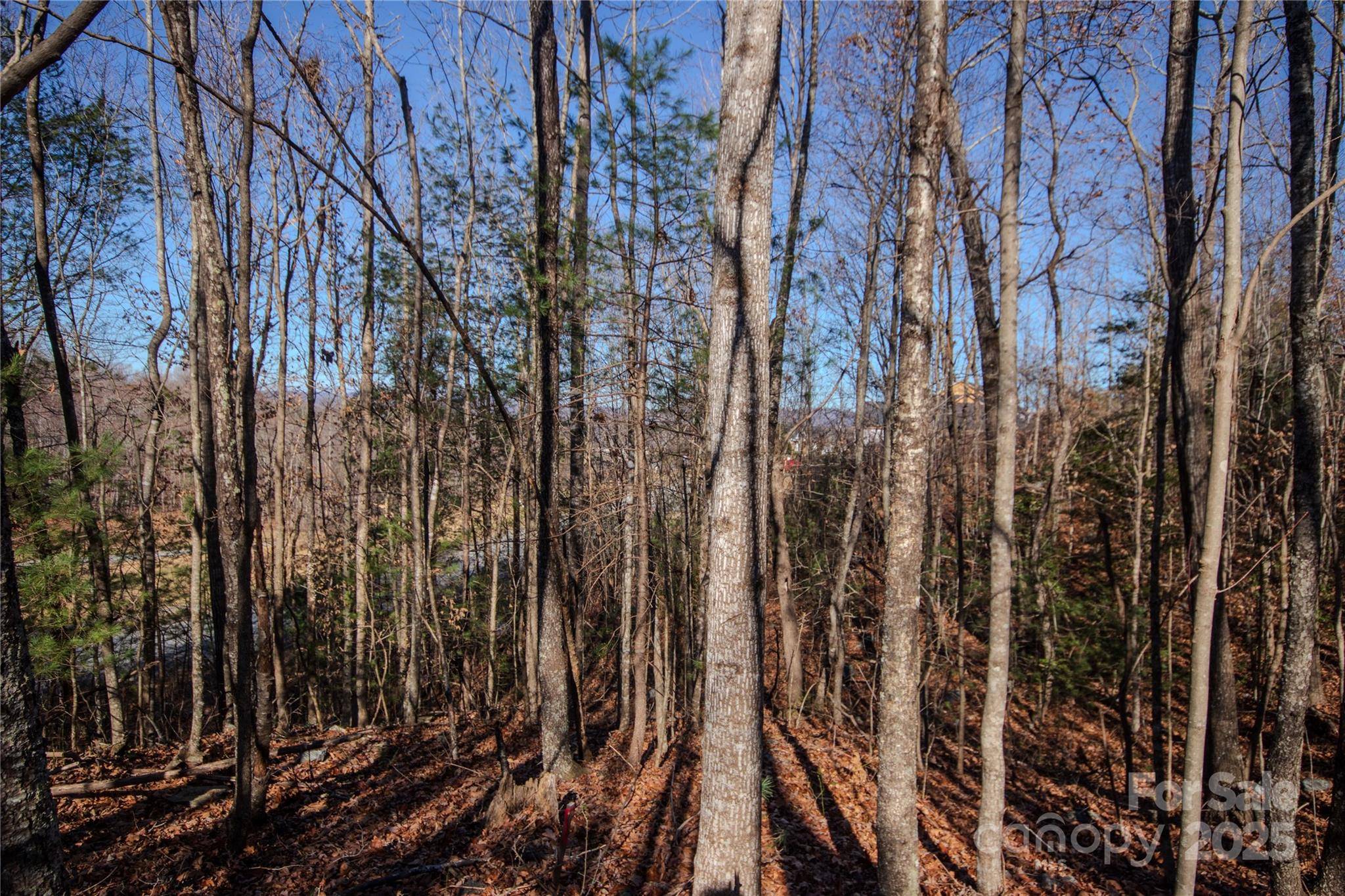 401 Huntington Woods ST SE #28, Lenoir, NC 28645