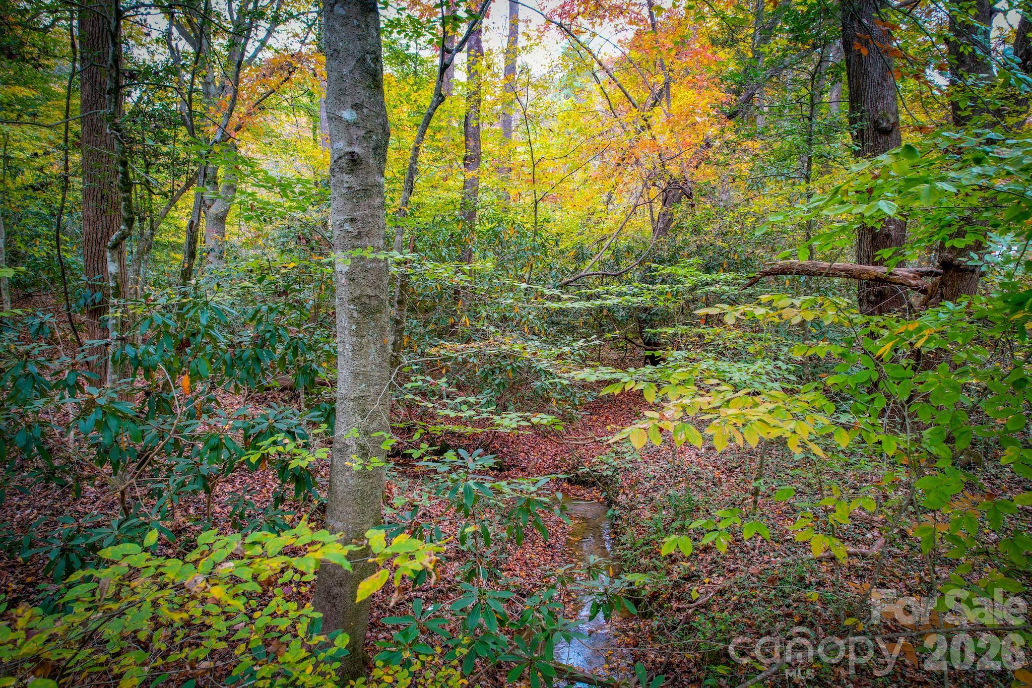 00 Grandin RD #2, Lenoir, NC 28645