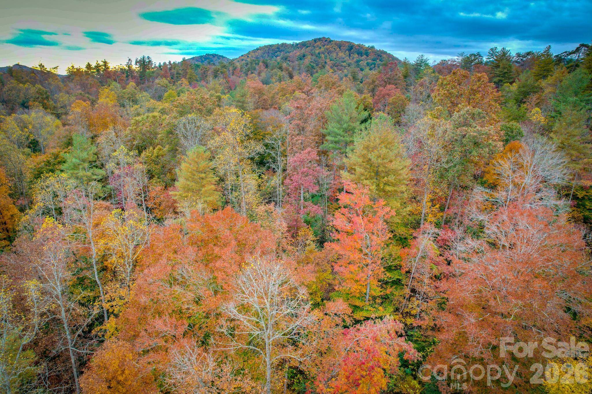 00 Grandin RD #2, Lenoir, NC 28645