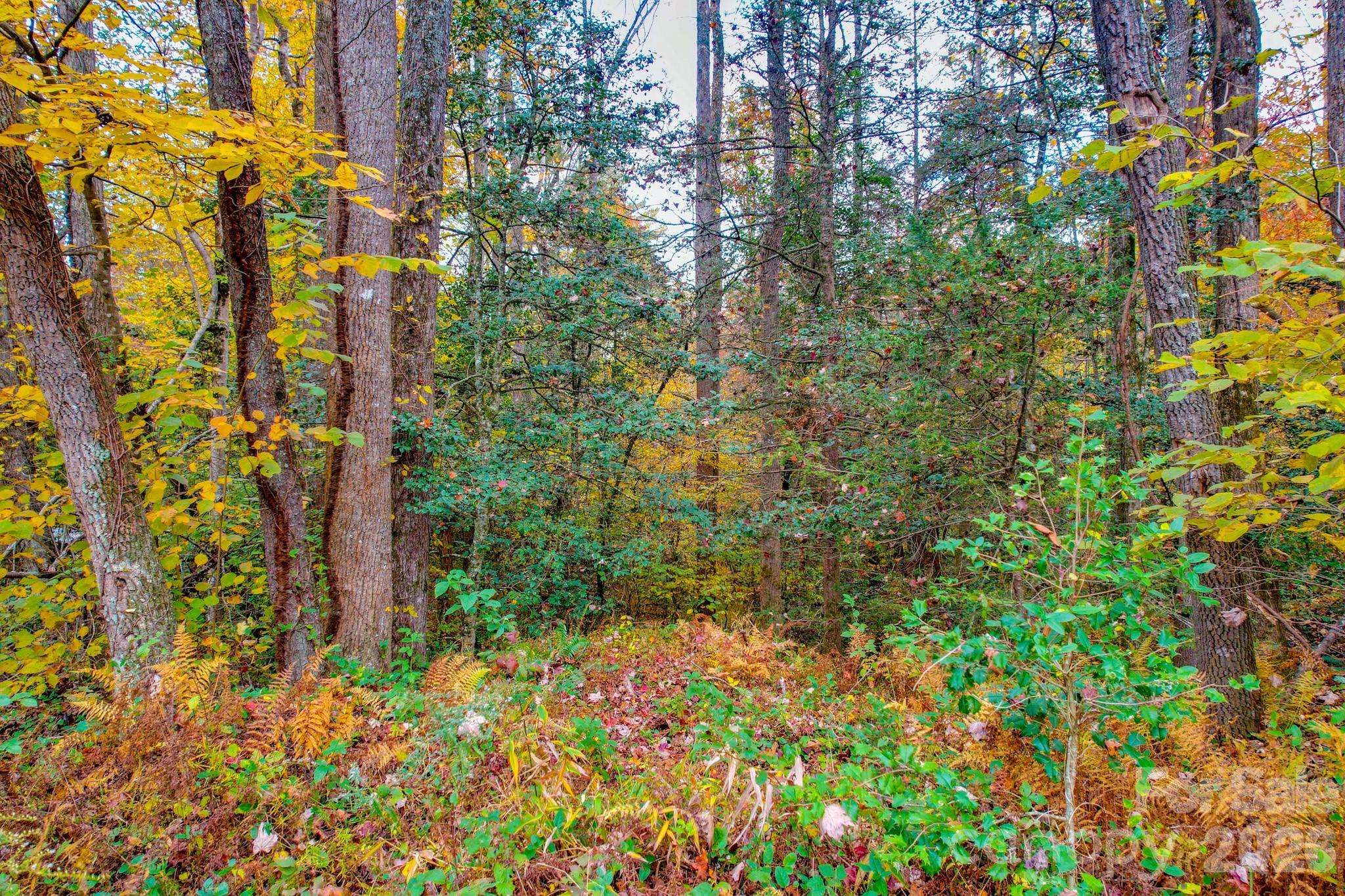 00 Grandin RD #2, Lenoir, NC 28645
