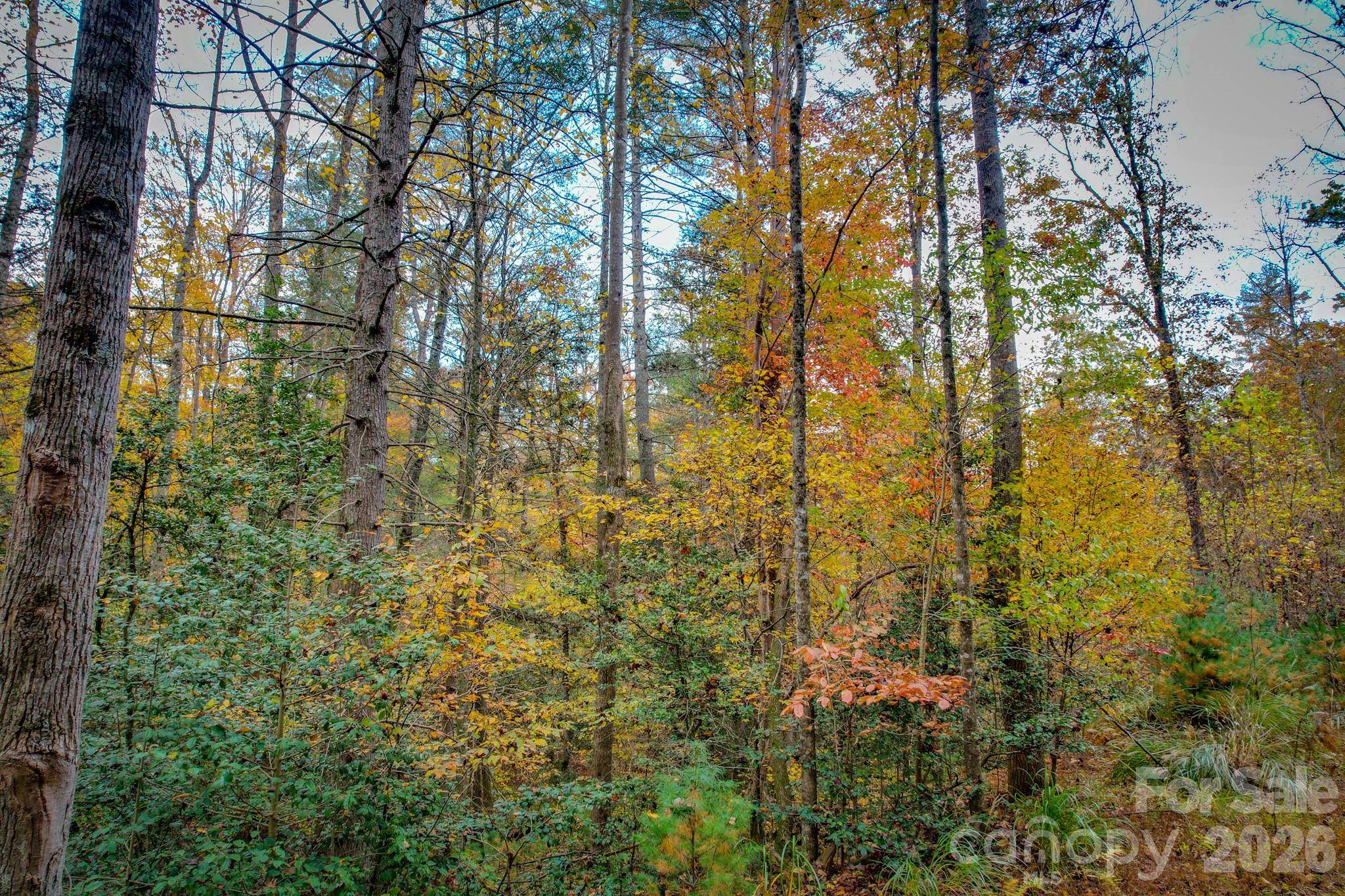 00 Grandin RD #3, Lenoir, NC 28645