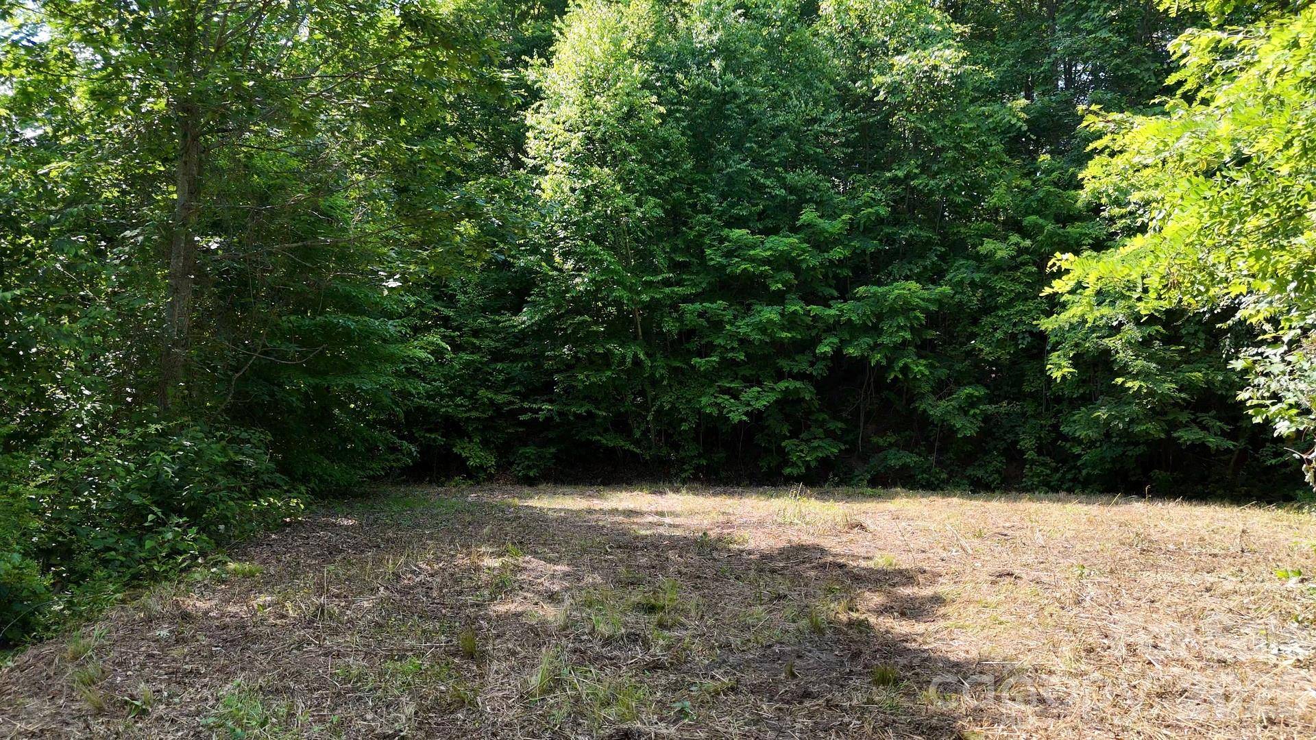 Lot 23 Asa TRL, Waynesville, NC 28785