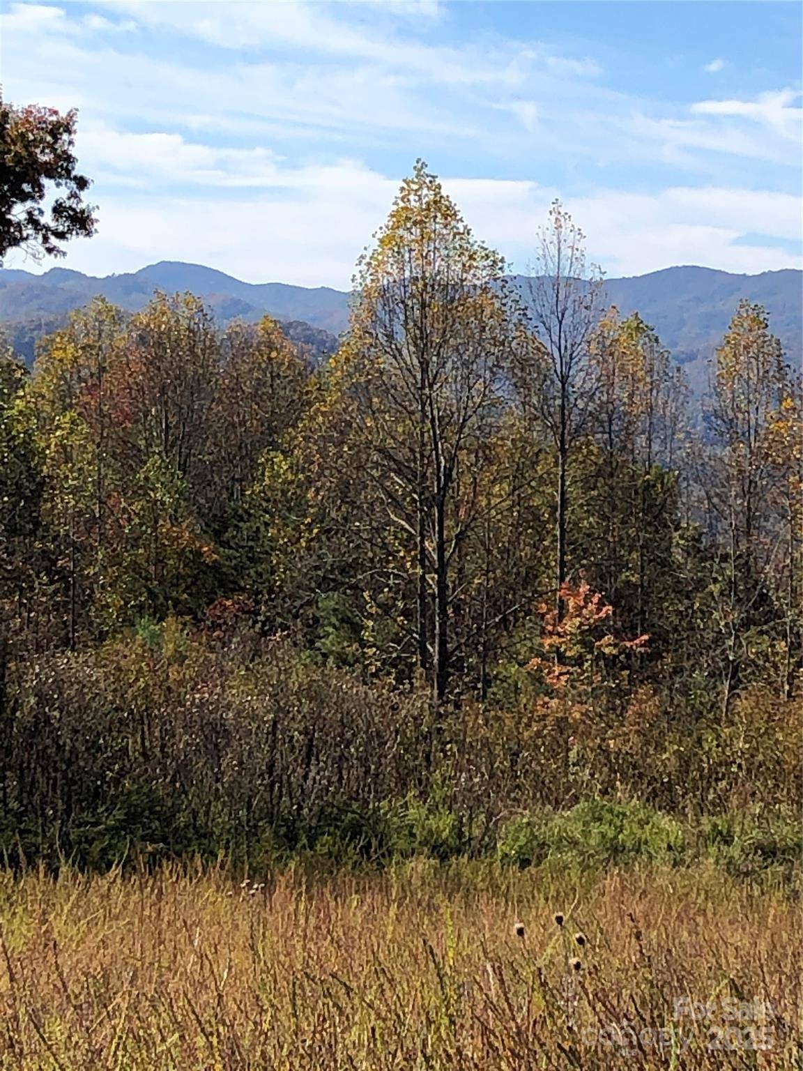 255 Clearview LN #12, Marshall, NC 28753