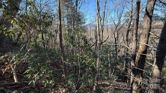 0 Bird Dog BLVD, Lake Lure, NC 28746