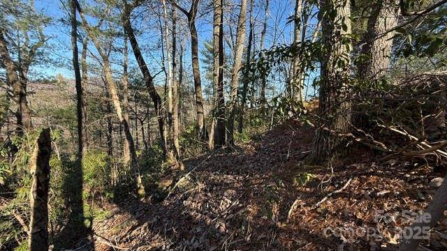 0 Bird Dog BLVD, Lake Lure, NC 28746