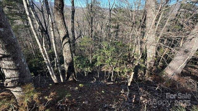 0 Bird Dog BLVD, Lake Lure, NC 28746