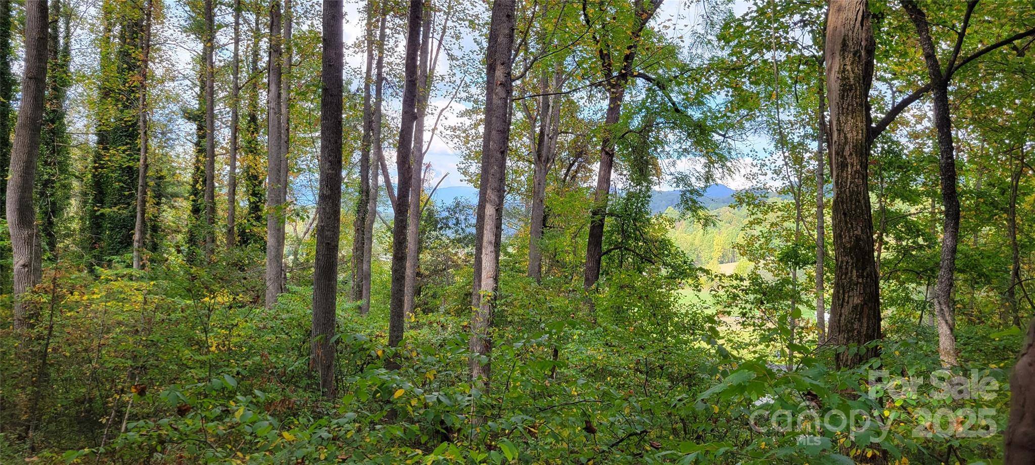43 Dodder LN, Cullowhee, NC 28723