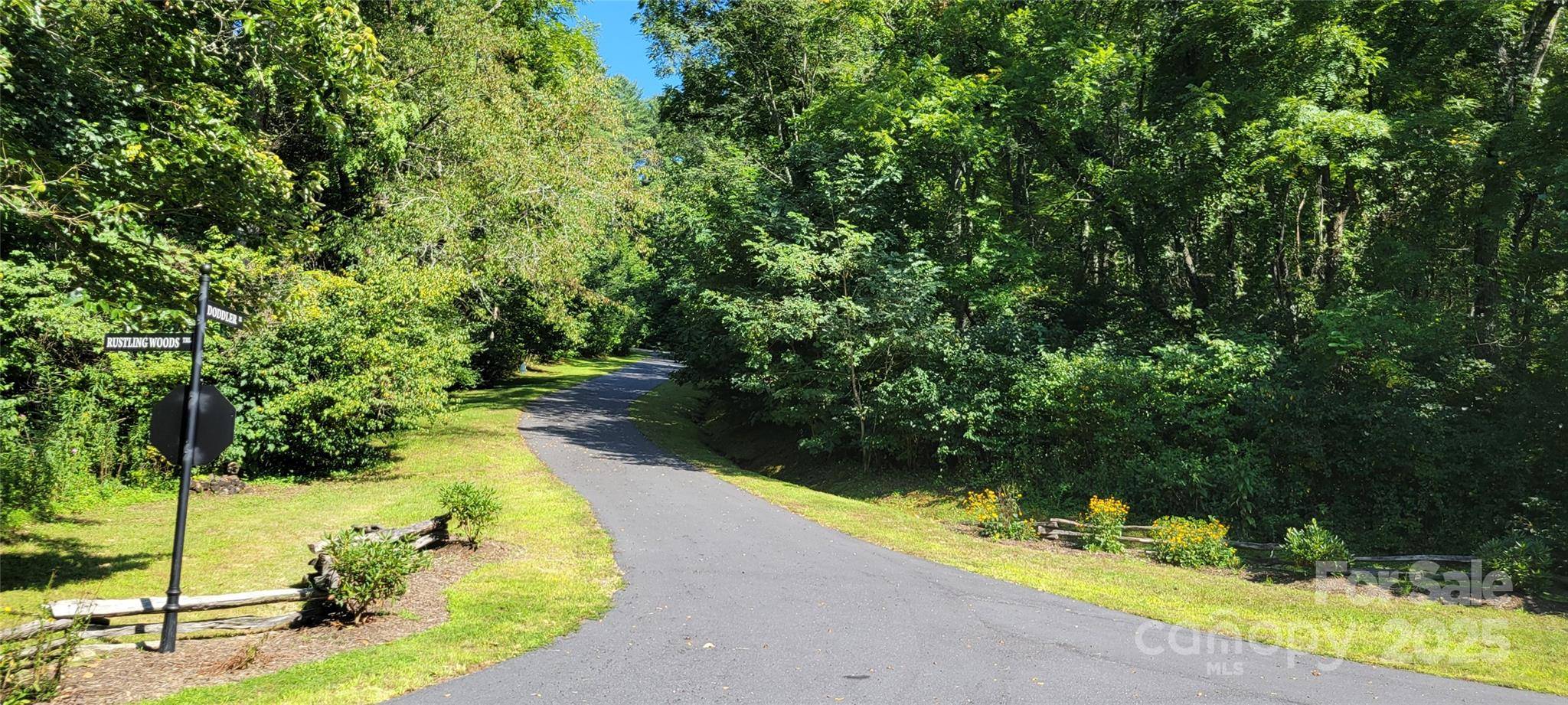 43 Dodder LN, Cullowhee, NC 28723