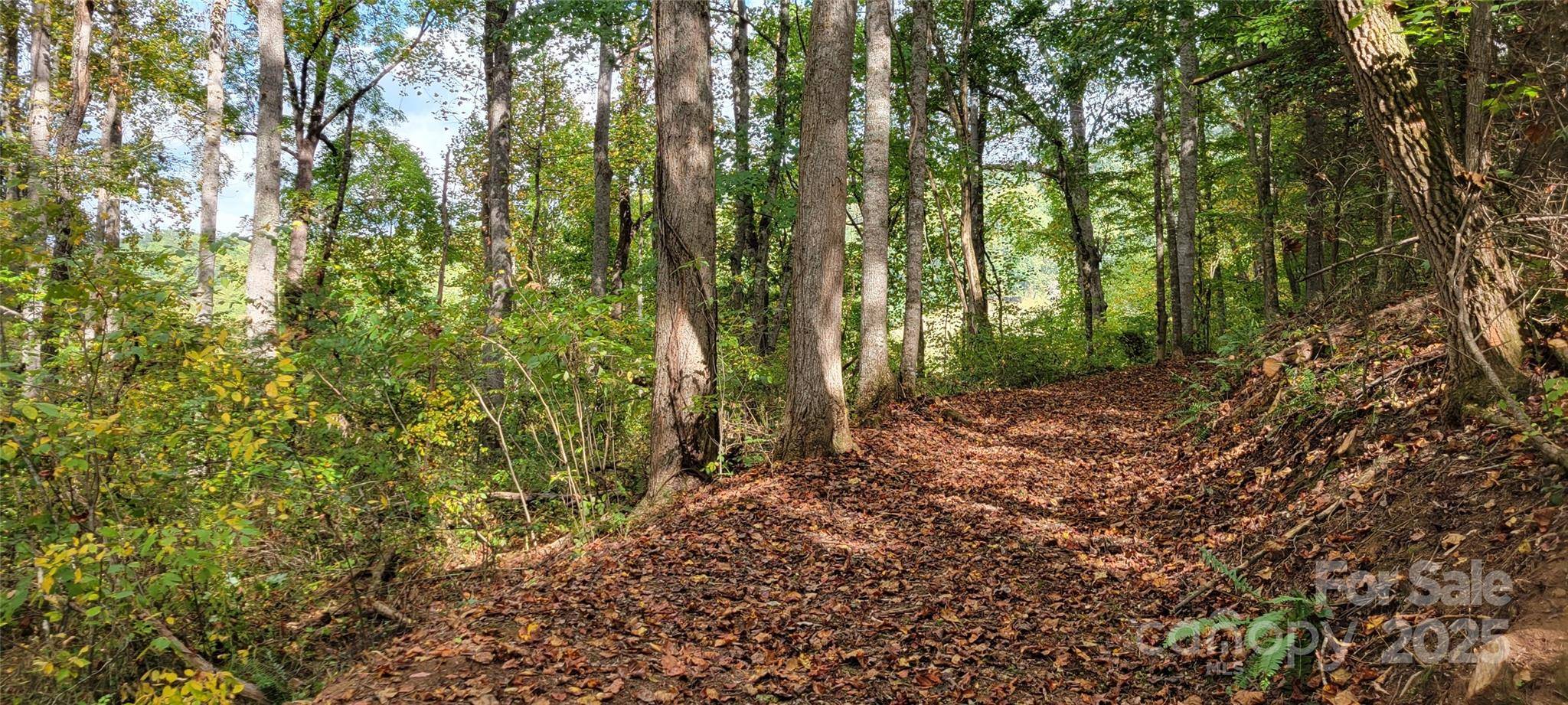 43 Dodder LN, Cullowhee, NC 28723