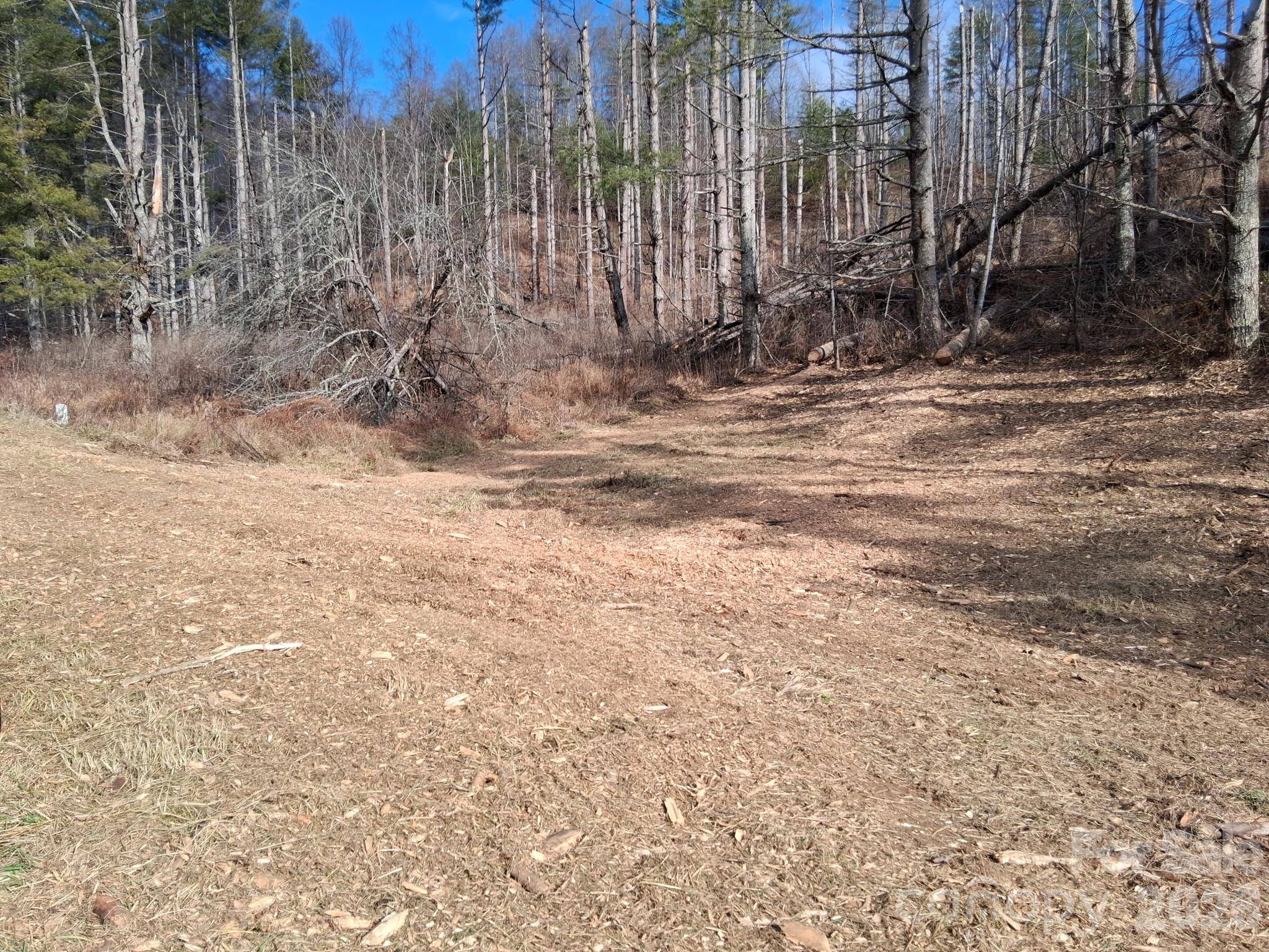 99999 Big Rock Creek DR, Bakersville, NC 28705