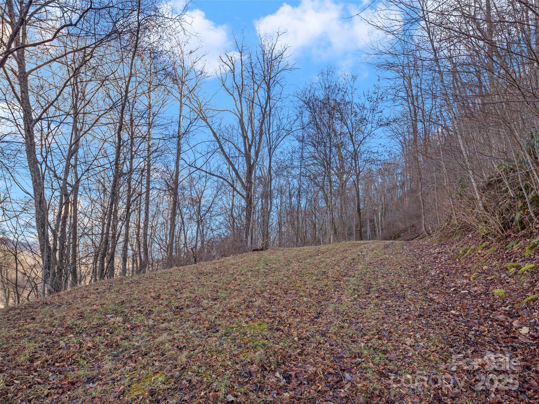534 Kendal DR #20, Leicester, NC 28748