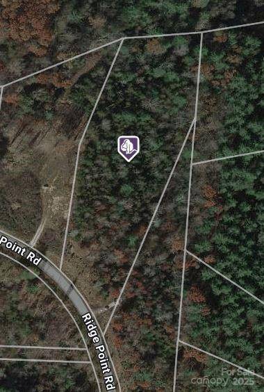 507 Ridge Point RD, Nebo, NC 28761