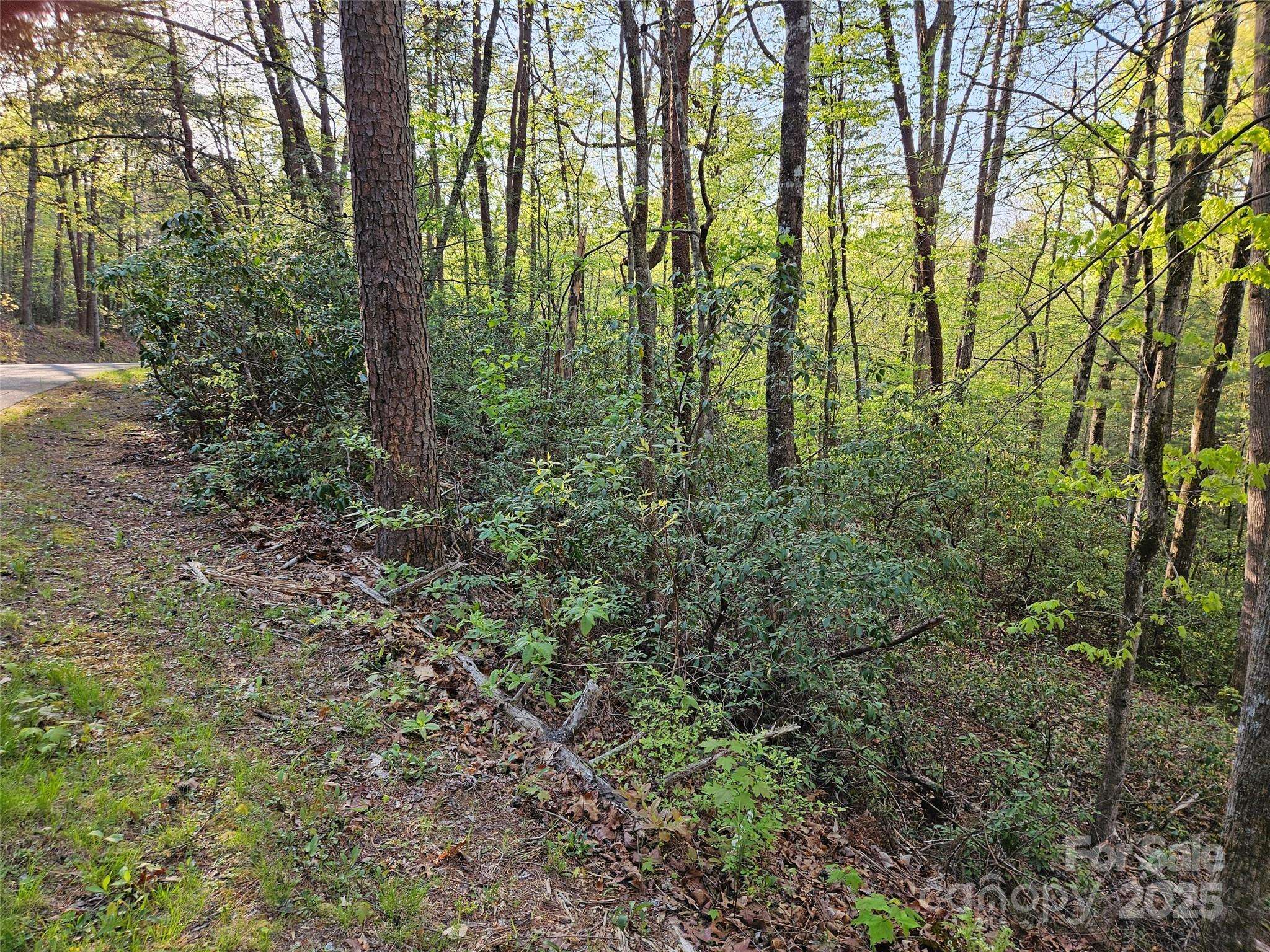 0 Huntington RD #54, Lake Lure, NC 28746