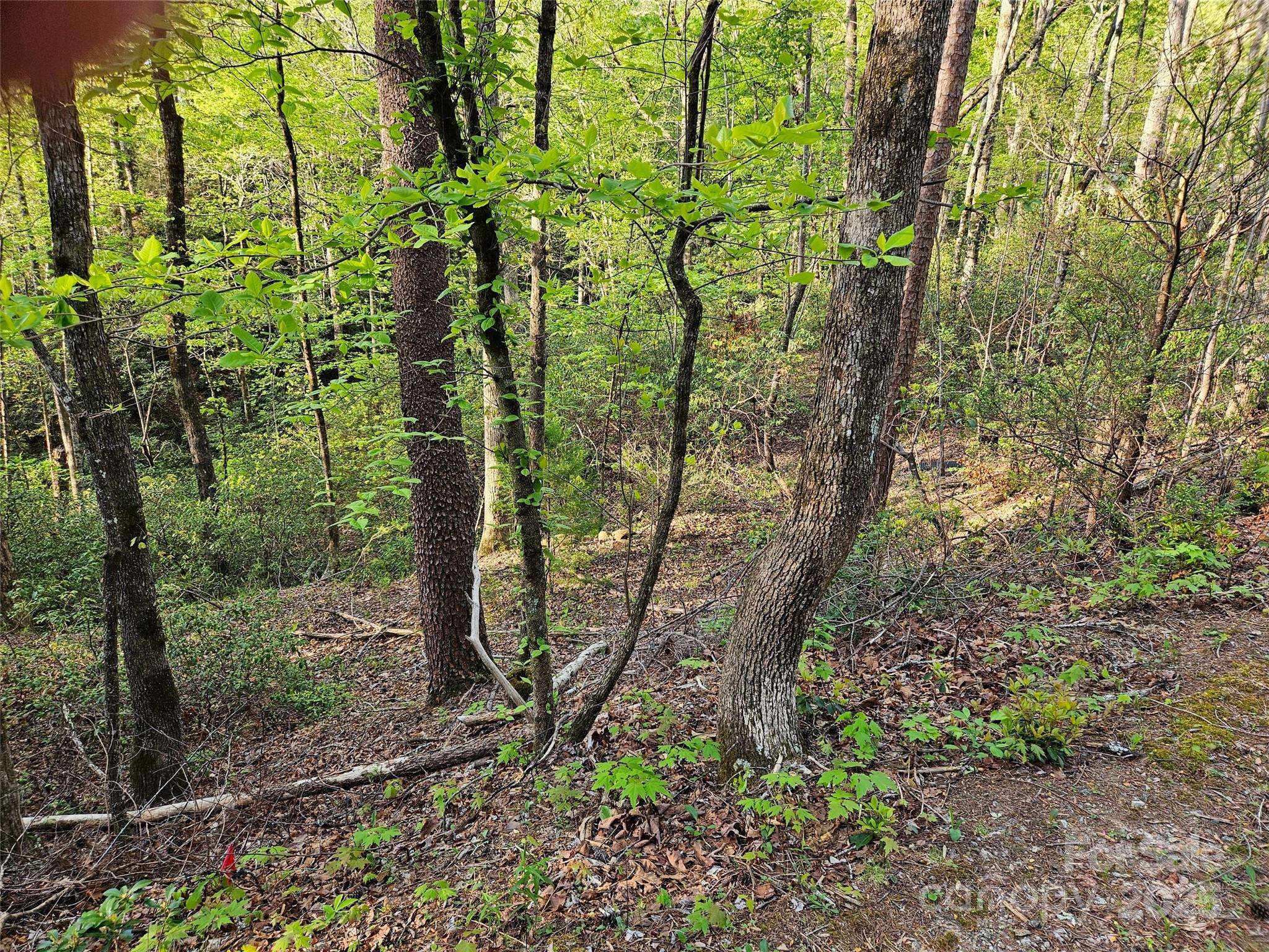 0 Huntington RD #54, Lake Lure, NC 28746
