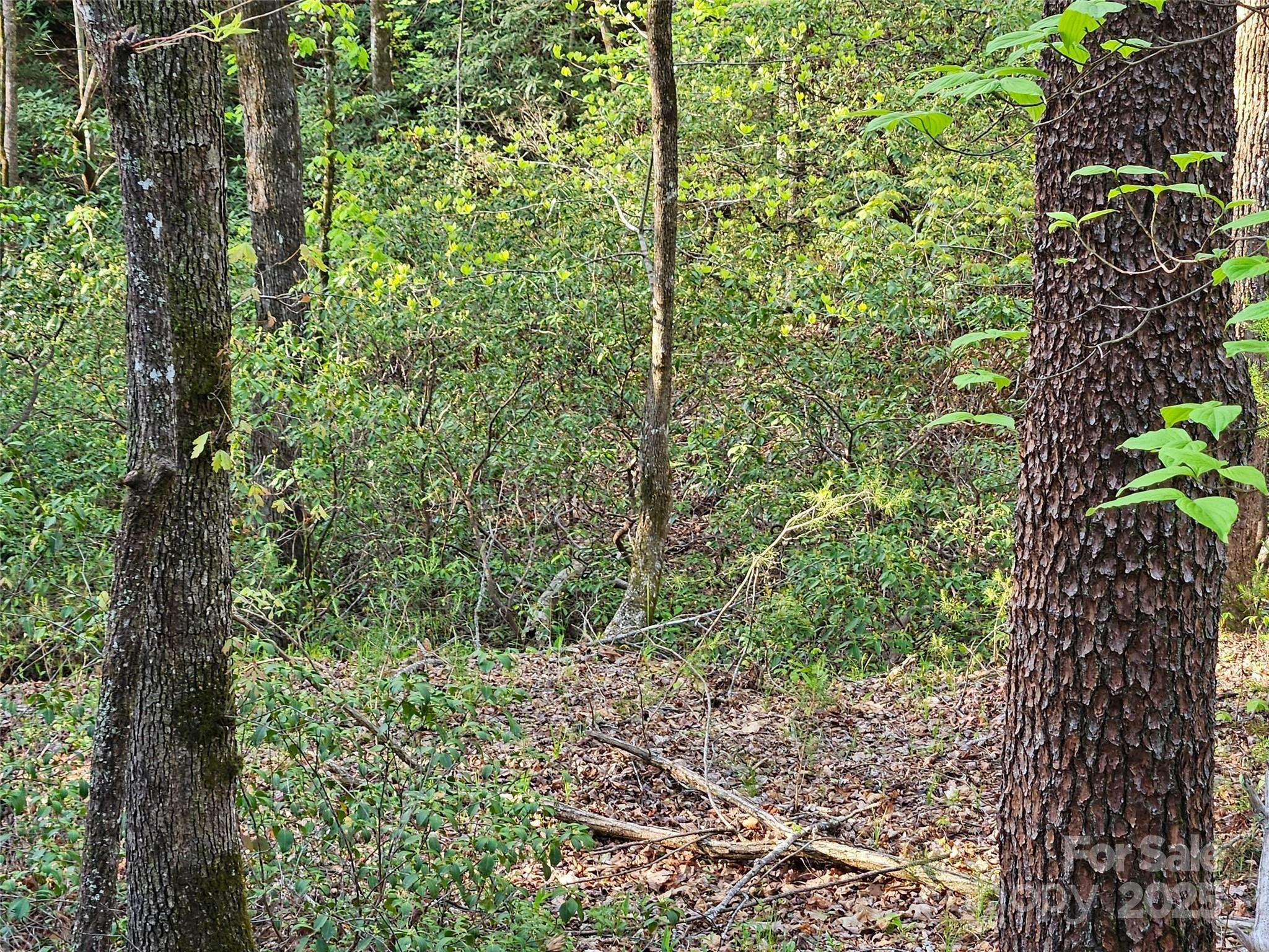 0 Huntington RD #54, Lake Lure, NC 28746