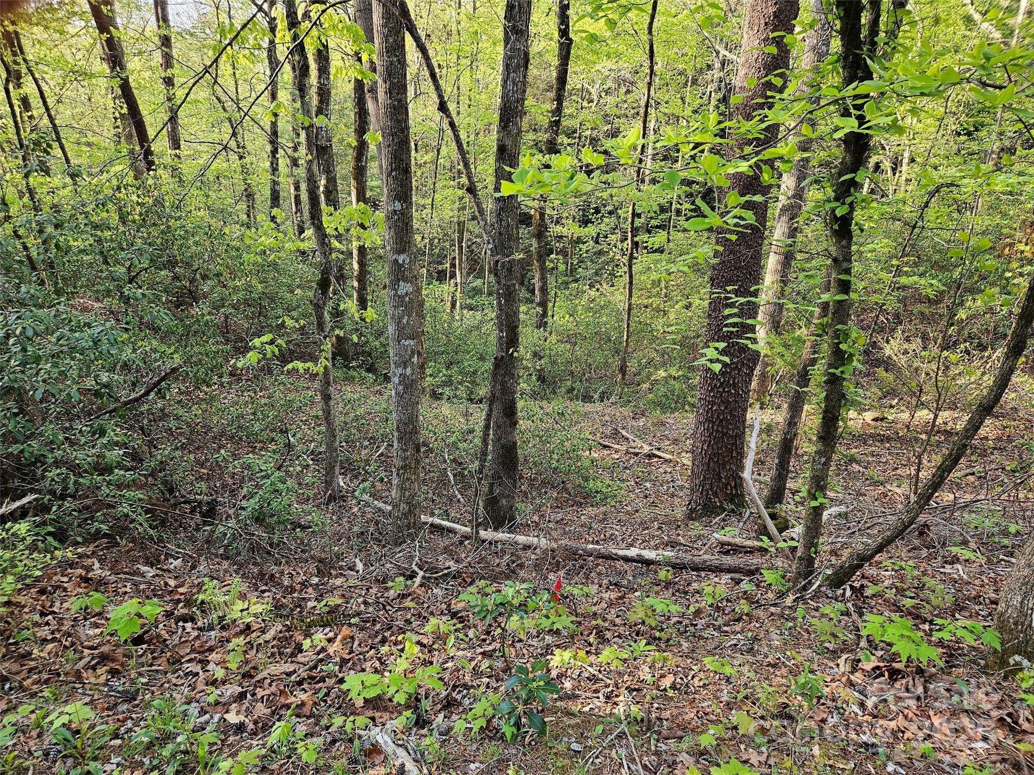 0 Huntington RD #54, Lake Lure, NC 28746