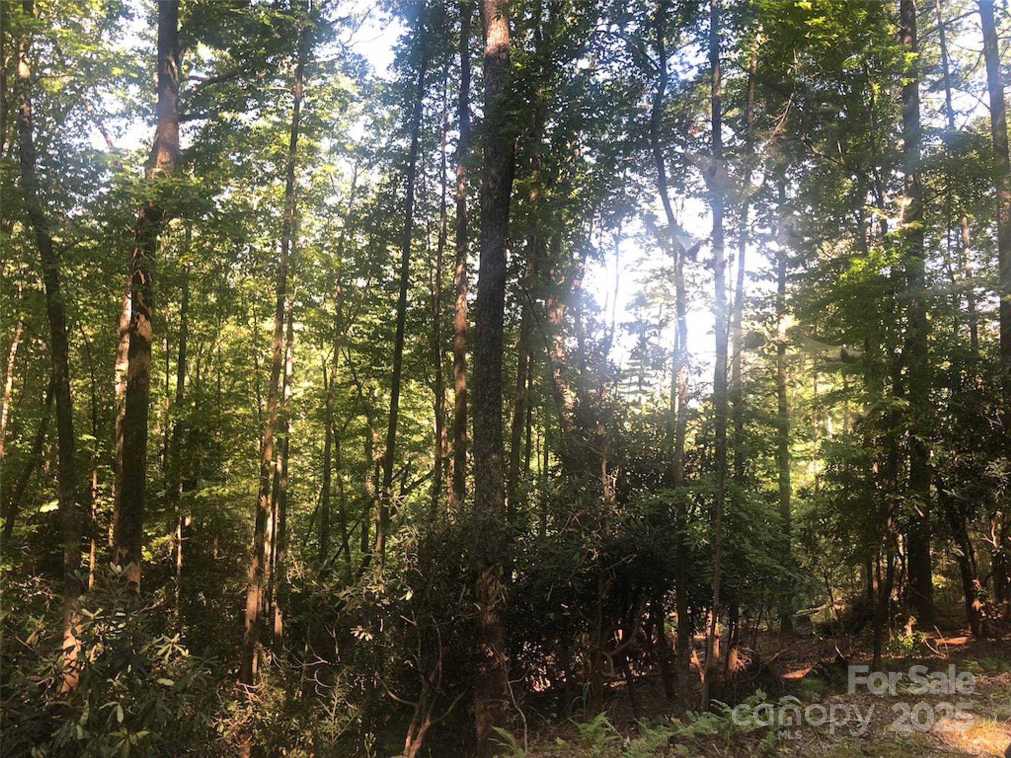 TBD Peppervine CIR #94, Rosman, NC 28772