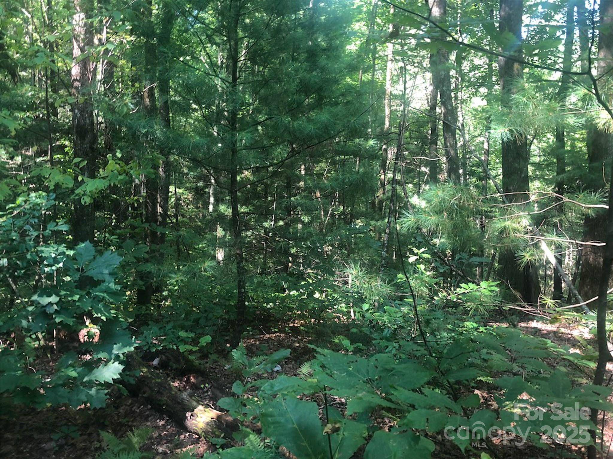 TBD Peppervine CIR #94, Rosman, NC 28772