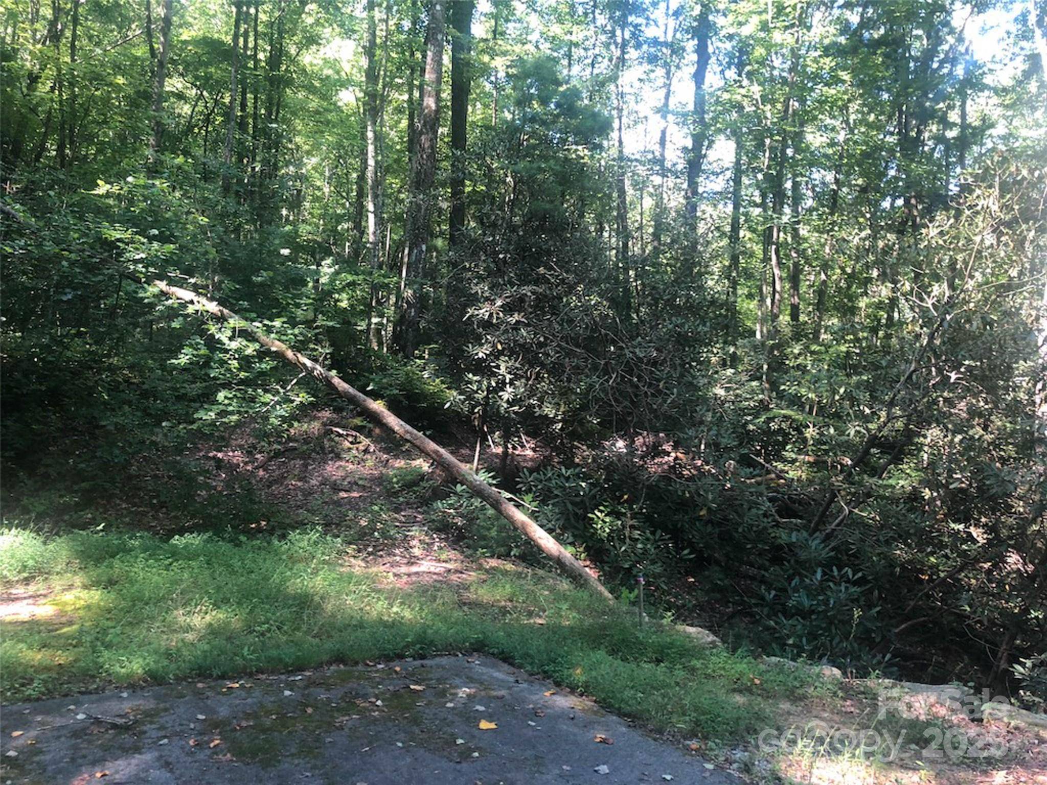TBD Peppervine CIR #94, Rosman, NC 28772