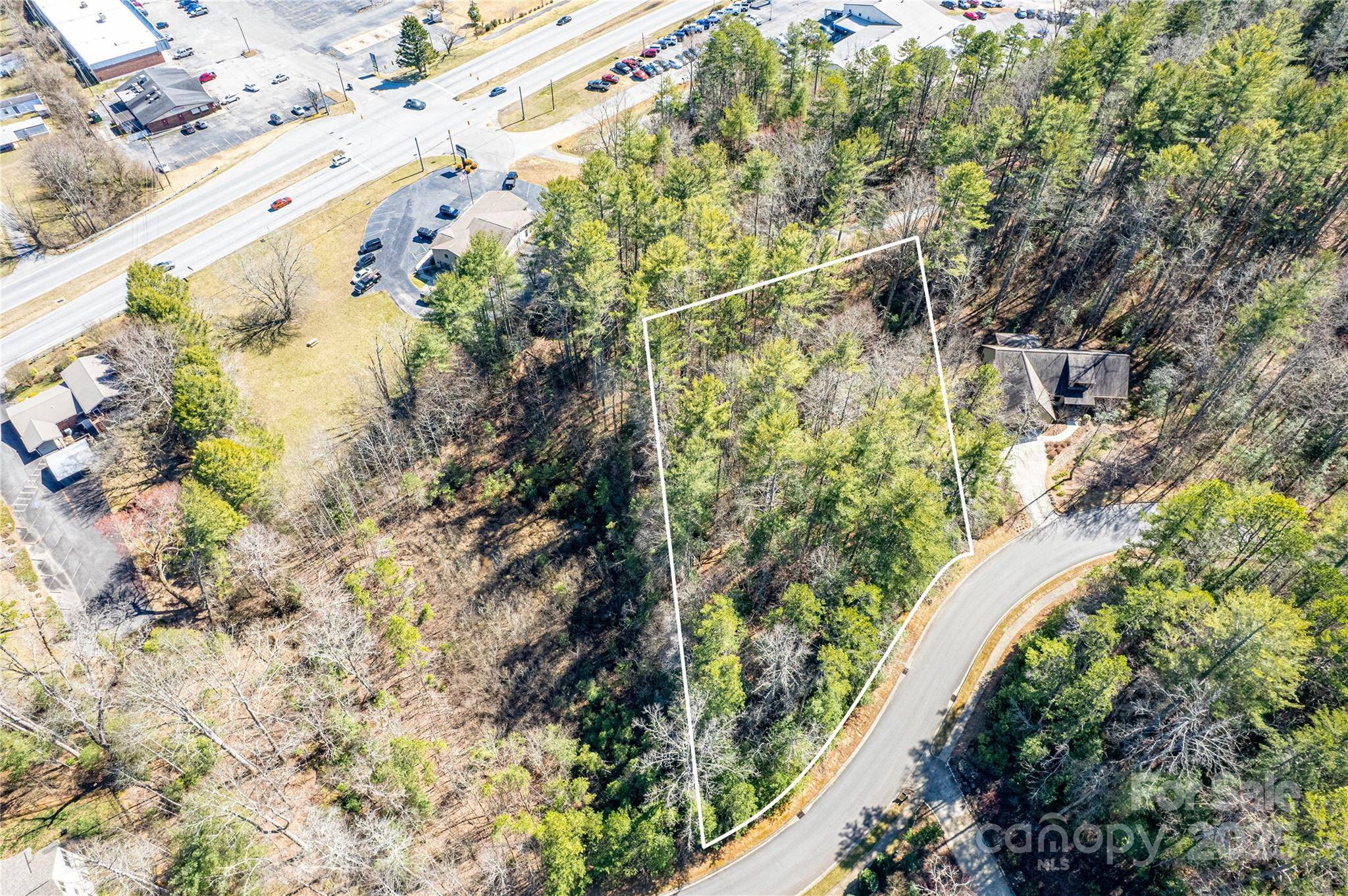 TBD Camptown RD #M139, Brevard, NC 28712
