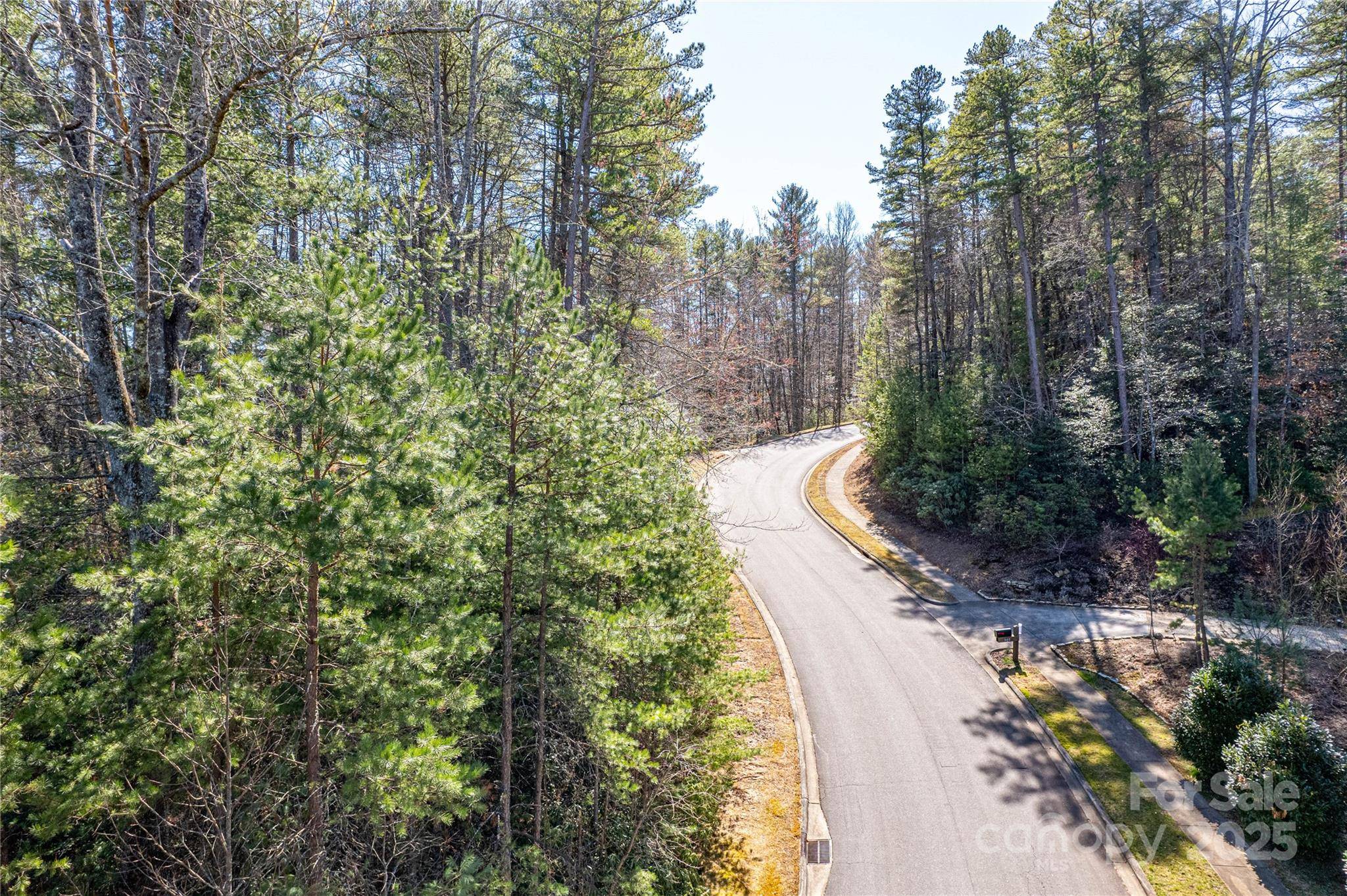 TBD Camptown RD #M139, Brevard, NC 28712