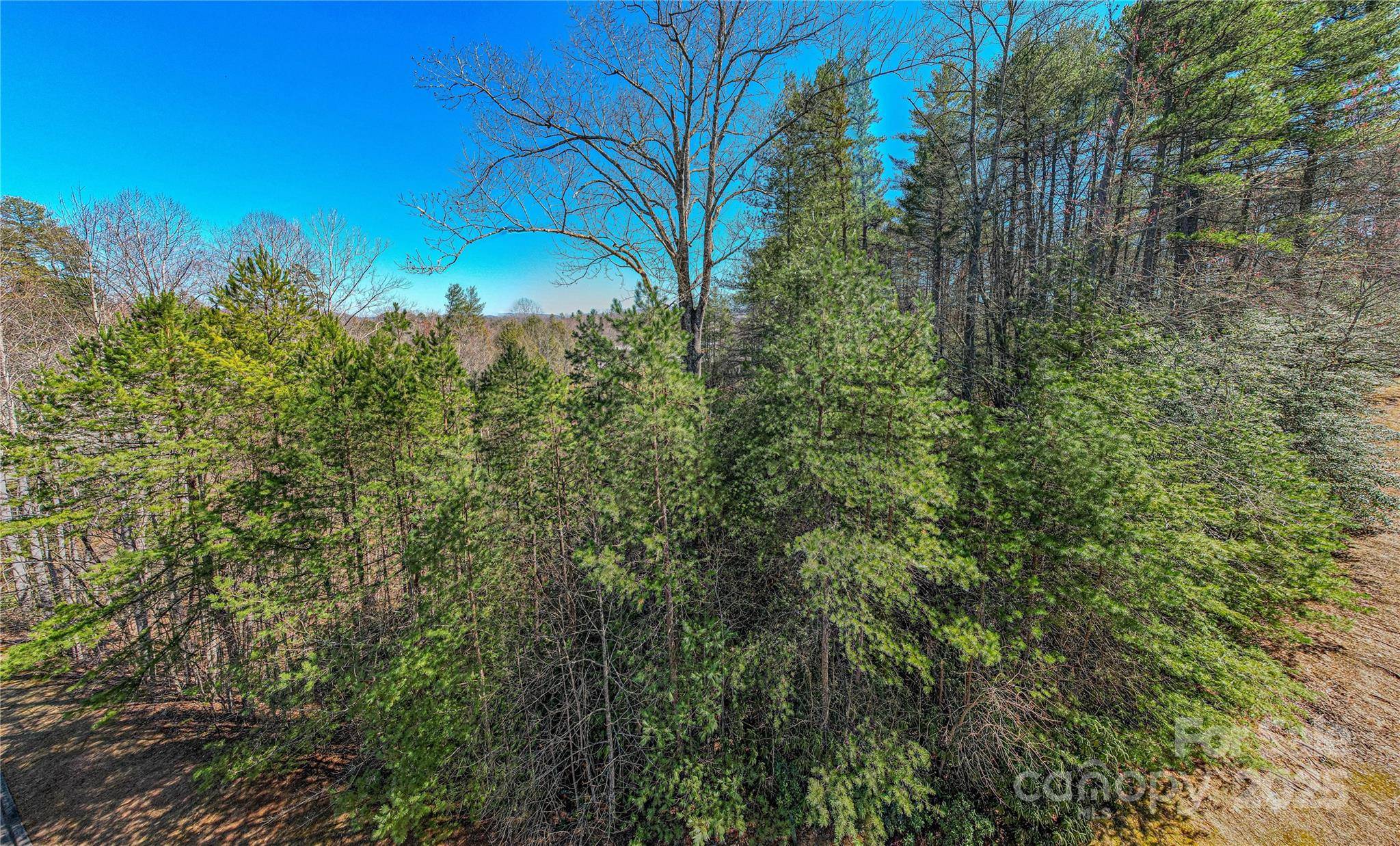 TBD Camptown RD #M139, Brevard, NC 28712