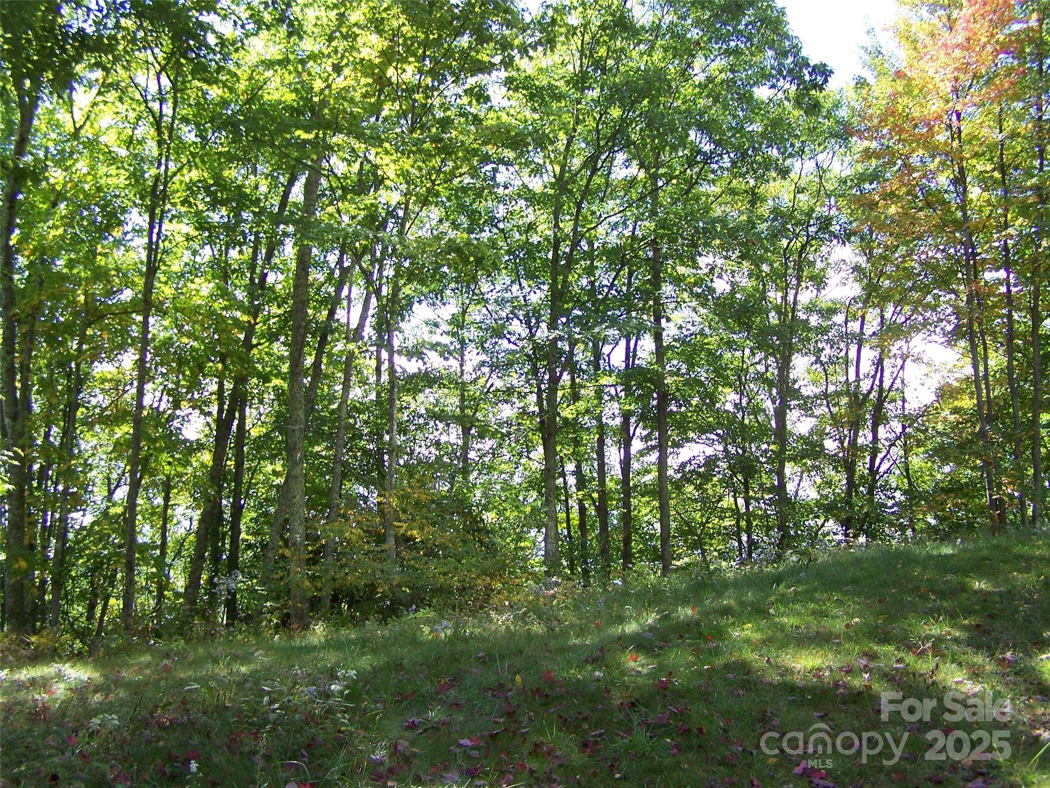 000 Fie Top RD, Maggie Valley, NC 28751