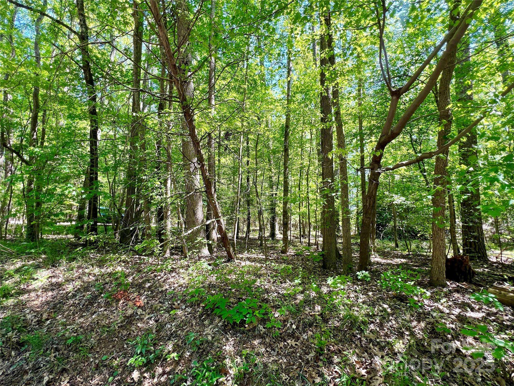 0 Monroe HWY, Lancaster, SC 29720