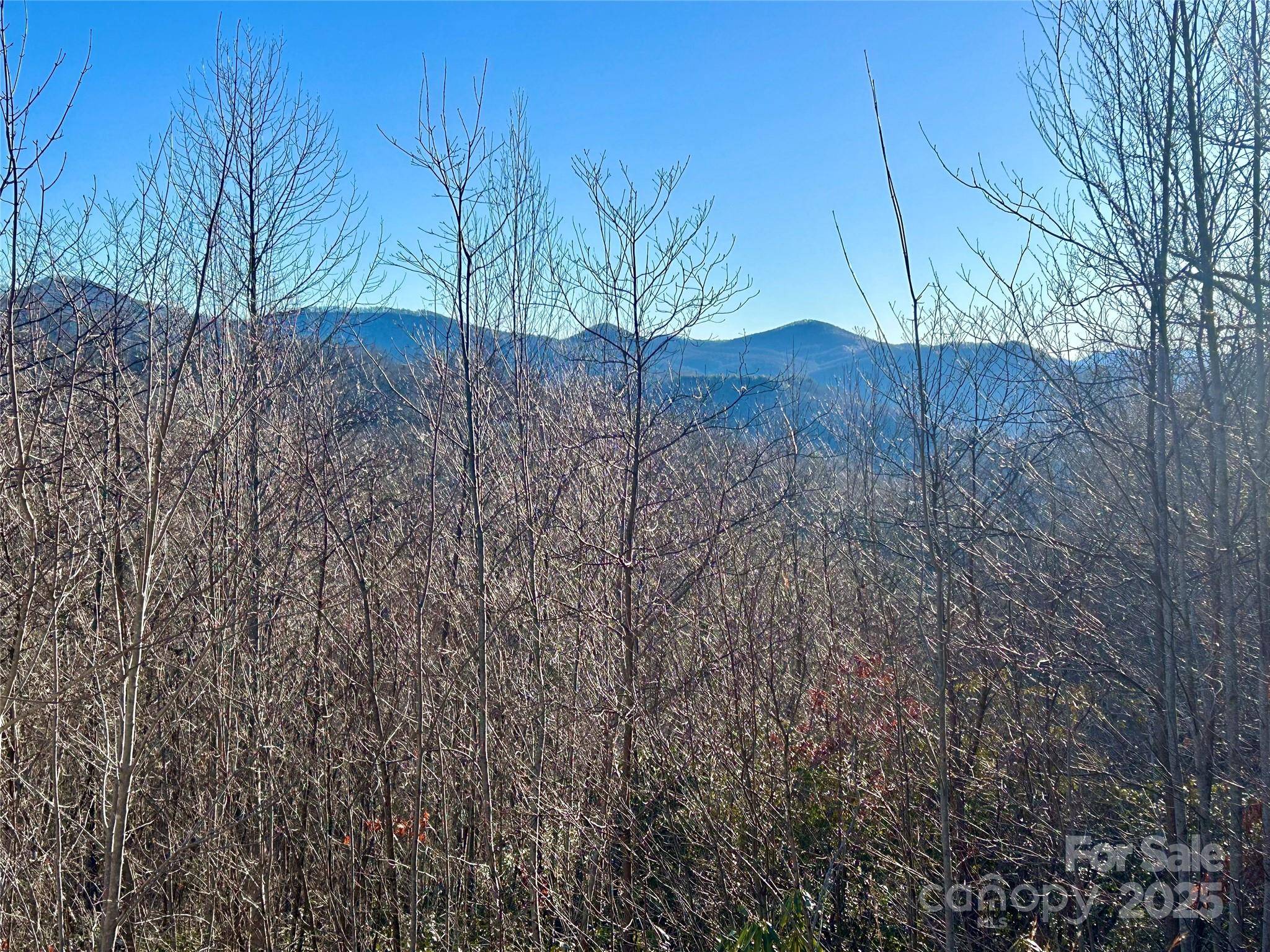 Lot 74 Freedom WAY #74, Bryson City, NC 28713