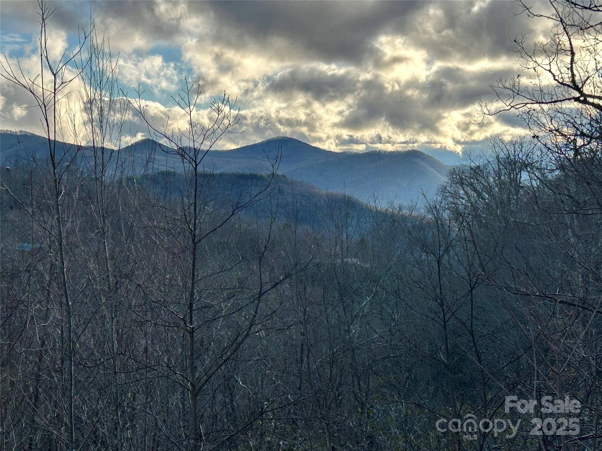 Lot 74 Freedom WAY #74, Bryson City, NC 28713