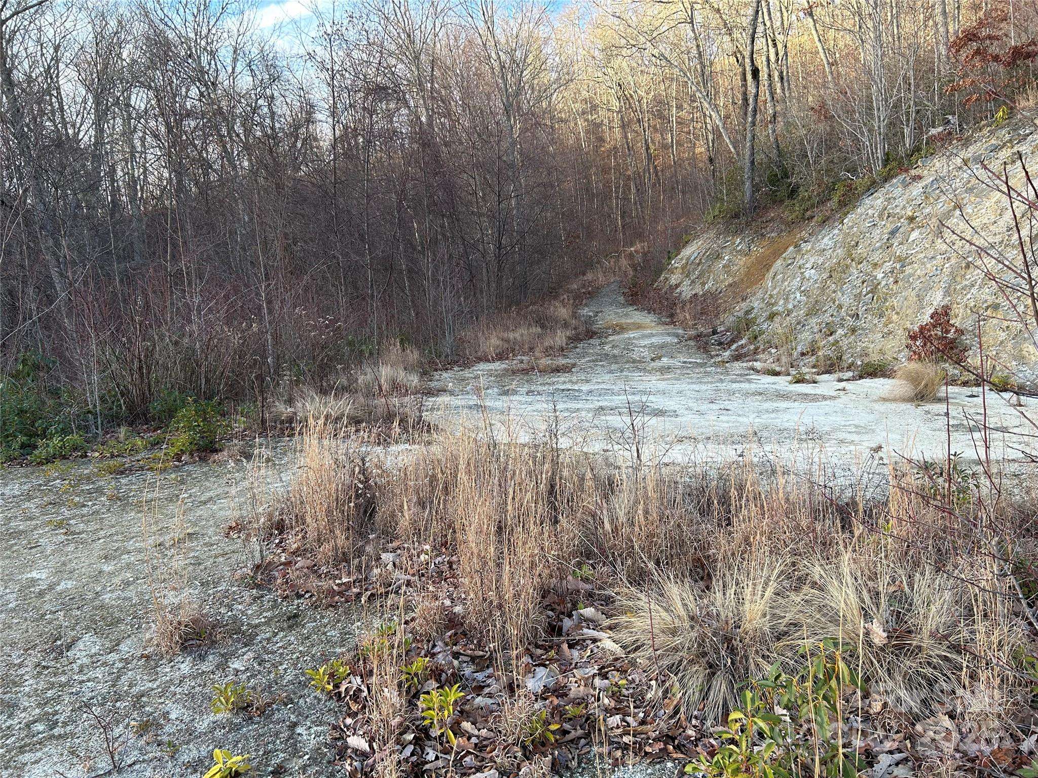Lot 74 Freedom WAY #74, Bryson City, NC 28713