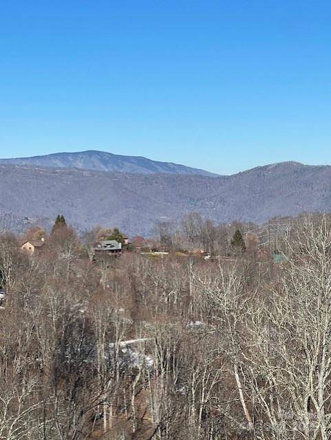 00 Wandering TRL #98, Waynesville, NC 28785
