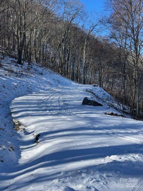 00 Wandering TRL #98, Waynesville, NC 28785