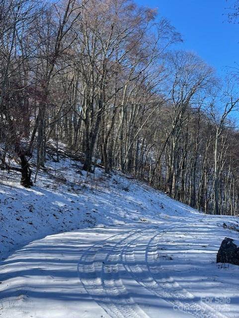 00 Wandering TRL #98, Waynesville, NC 28785
