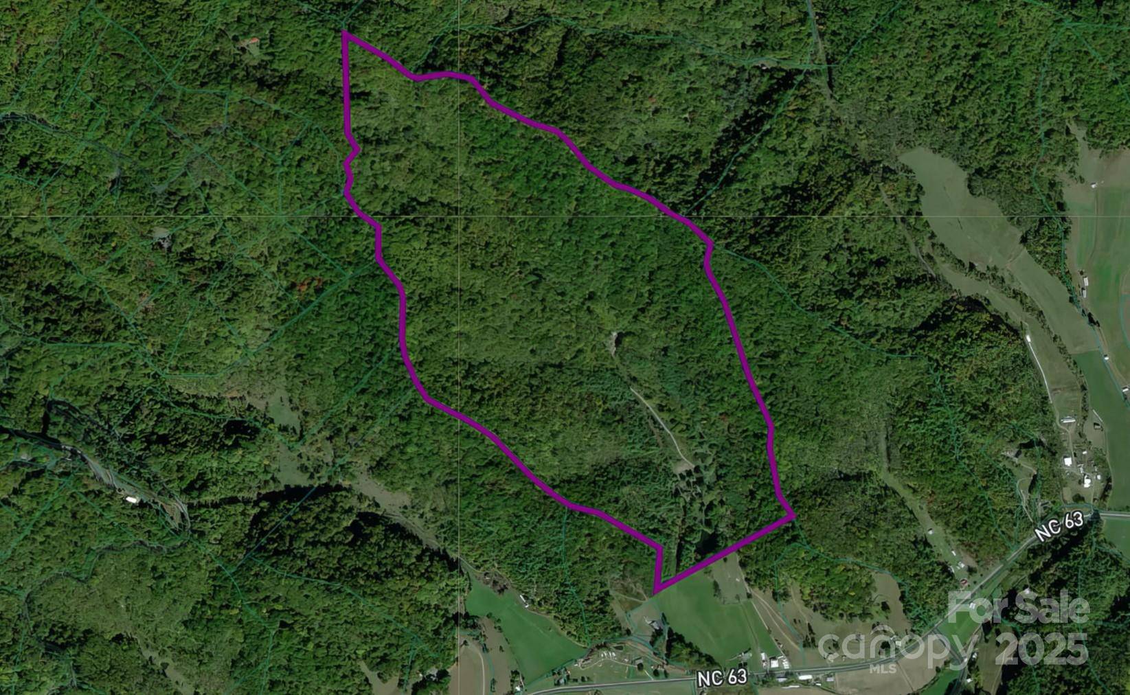 8749 Nc 63 HWY, Leicester, NC 28748