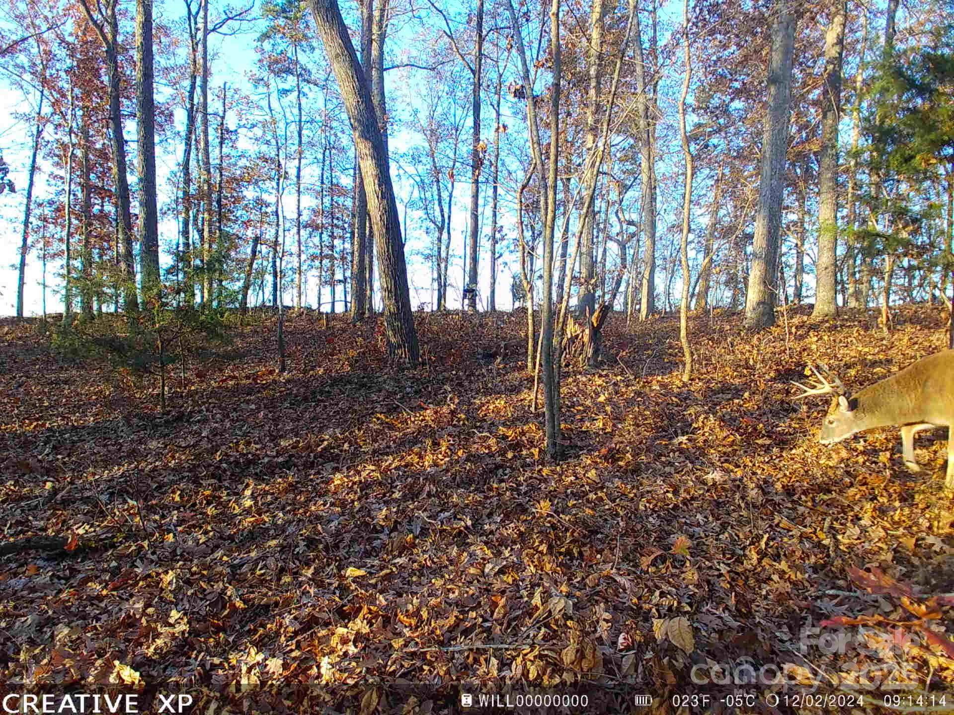 7210 Mission RD, Mount Pleasant, NC 28124