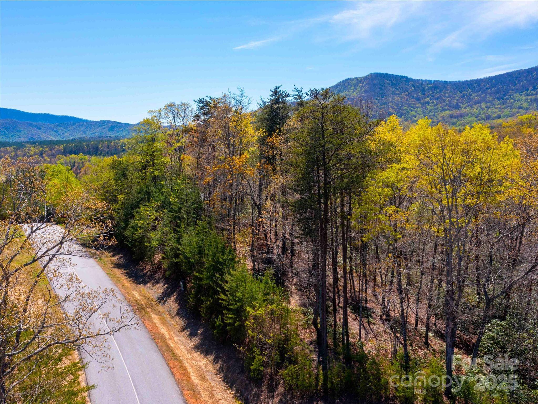 107 Deep Gap RD E, Mill Spring, NC 28756