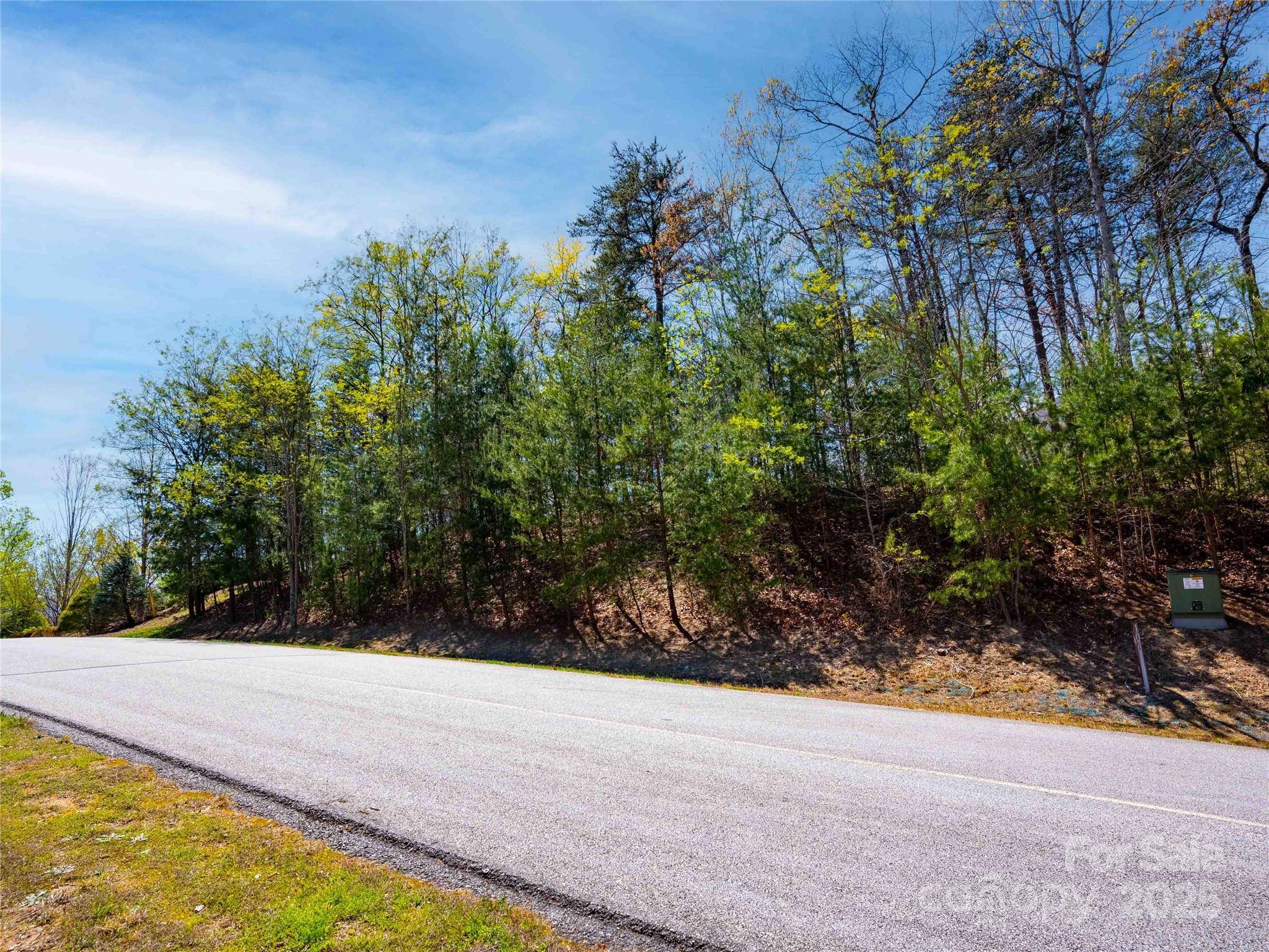107 Deep Gap RD E, Mill Spring, NC 28756