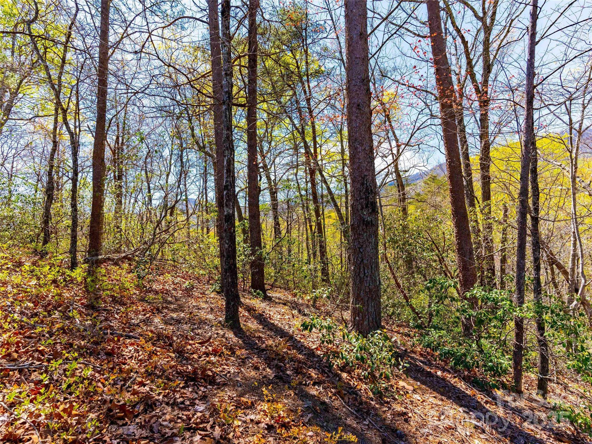 107 Deep Gap RD E, Mill Spring, NC 28756