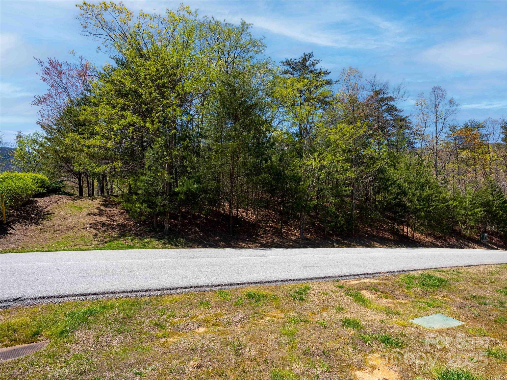107 Deep Gap RD E, Mill Spring, NC 28756