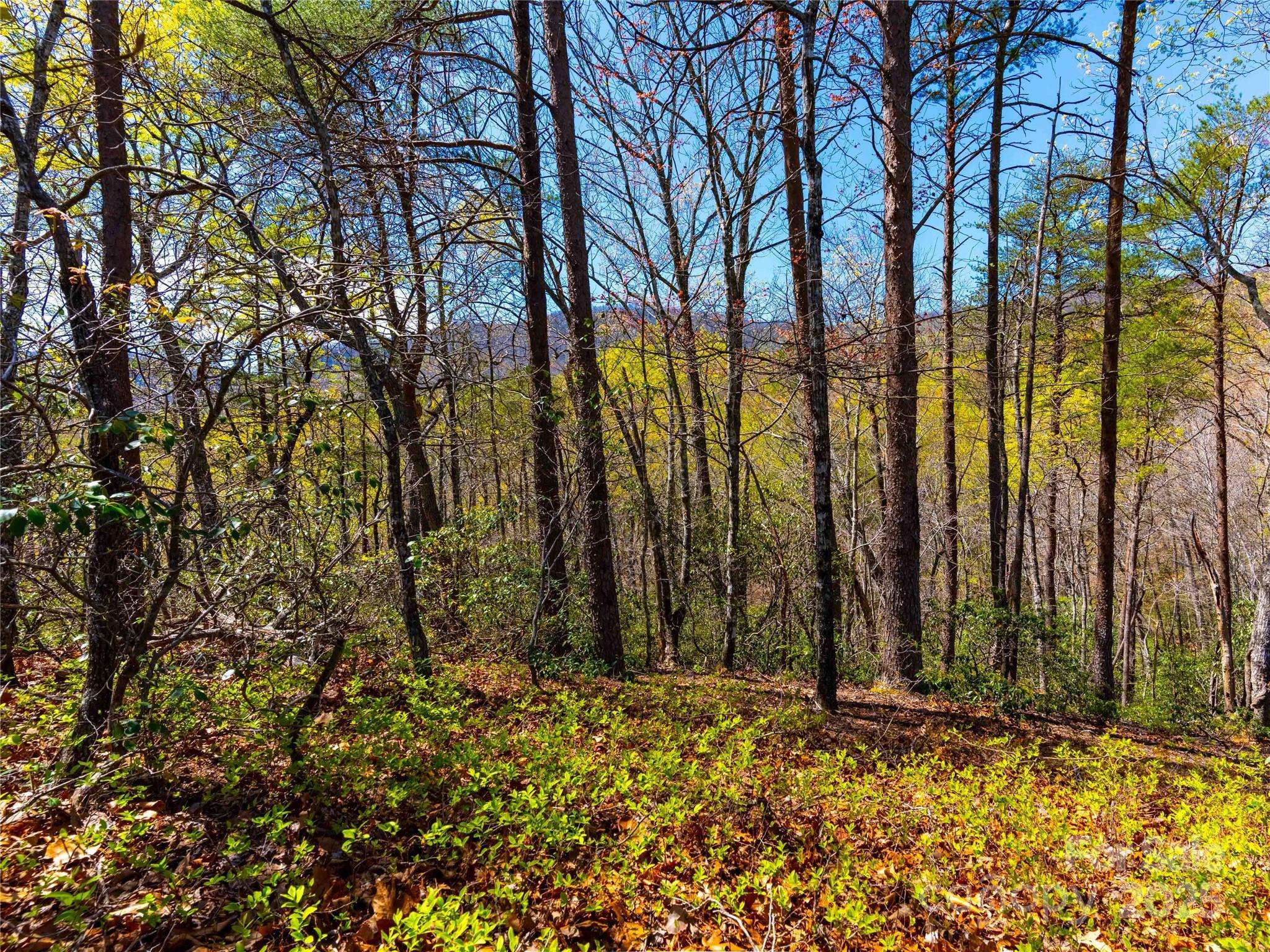 107 Deep Gap RD E, Mill Spring, NC 28756