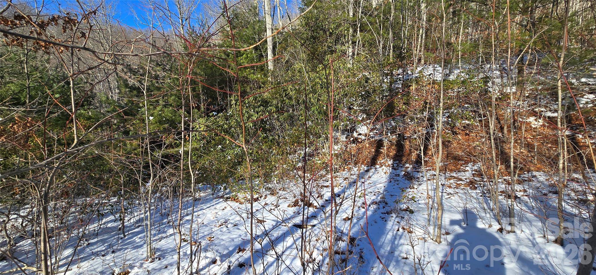 Lot 11 Bernies TRL, Waynesville, NC 28785