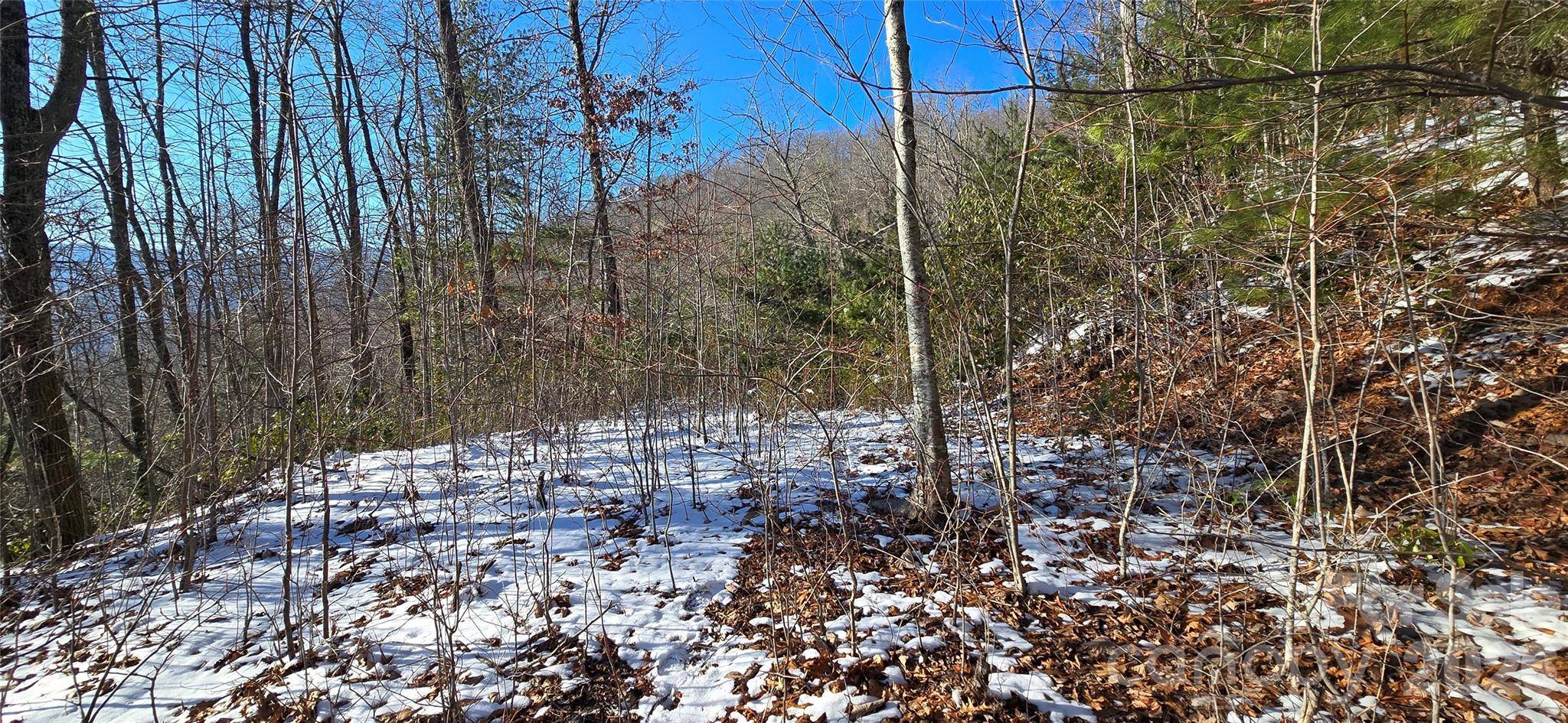 Lot 11 Bernies TRL, Waynesville, NC 28785